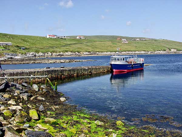 Les paysages sauvages des Îles Shetland sur la véloroute de la Mer du Nord