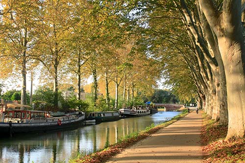 Canal du Midi à Toulouse