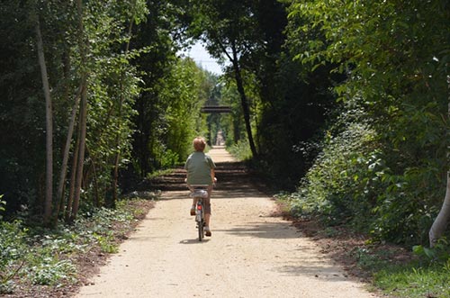 La Voie Verte entre La Flèche et Saumur