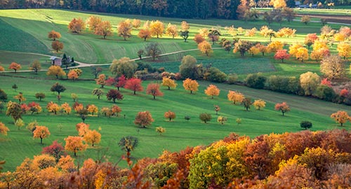 Automne en Alsace sur la Véloroute des Trois Pays