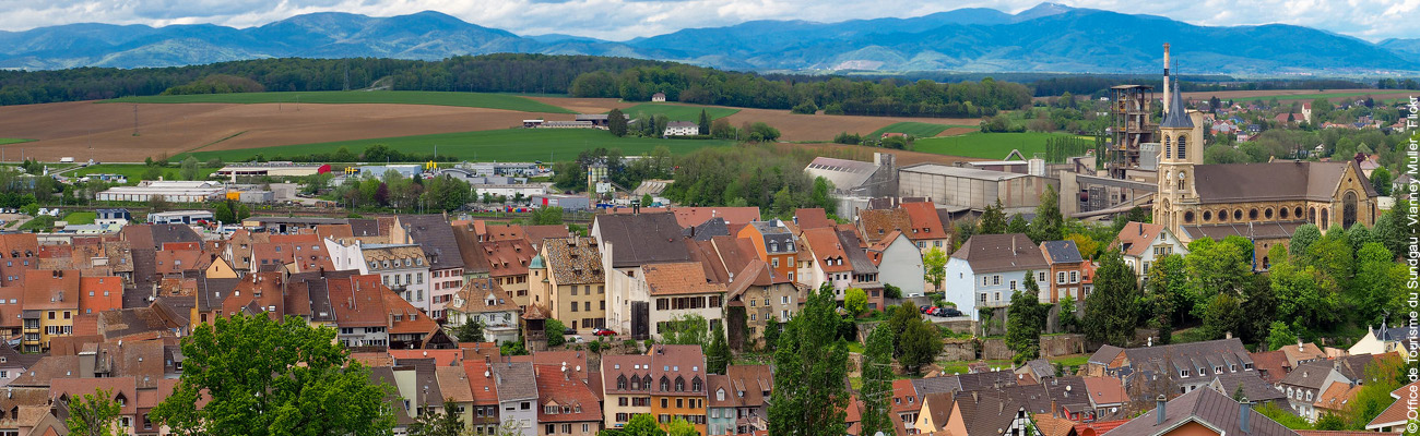 Le Véloroute des Trois Pays traverse des paysages verdoyants