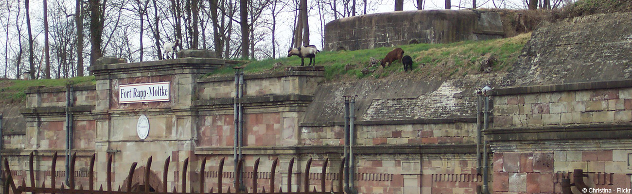 Le Fort Rapp de Reichstett sur la Piste des Forts