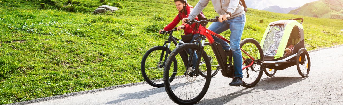 Maxxus remorque vélo pliante pour 2 enfants