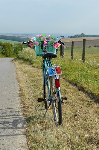 Le support pour vélo Shapeheart est idéal pour les balades à la campagne