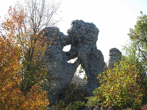 Sculptures naturelles dans le Bois de Paiolive