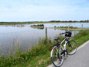 Marais du Crotoy à vélo