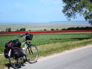 Baie de somme à vélo côté vert