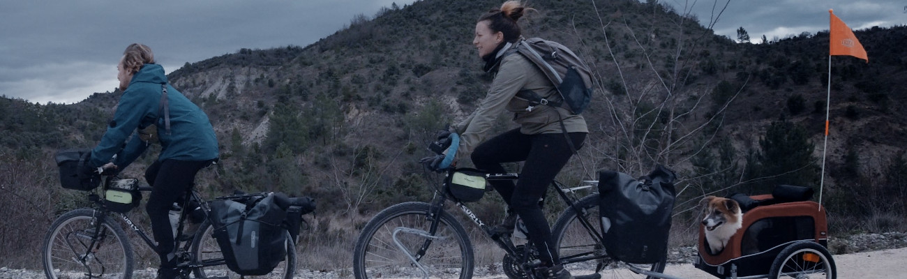 Voyage à vélo avec un chien dans une remorque