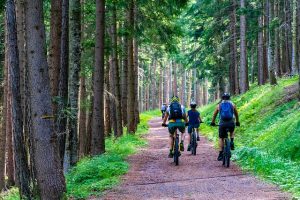 Pneus vélo voyages sentiers