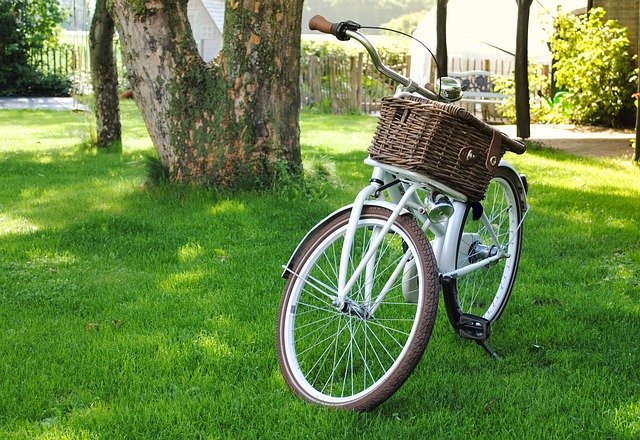 Troc Echange Vieux vélo a rénover sur