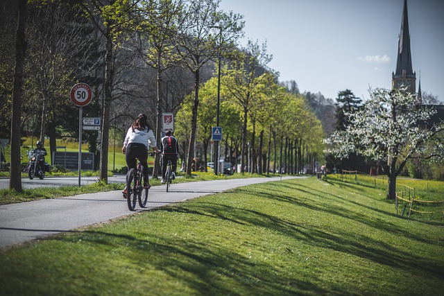 piste cyclable séparée de la chaussée