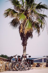 plusieurs vélos garés sur la plage