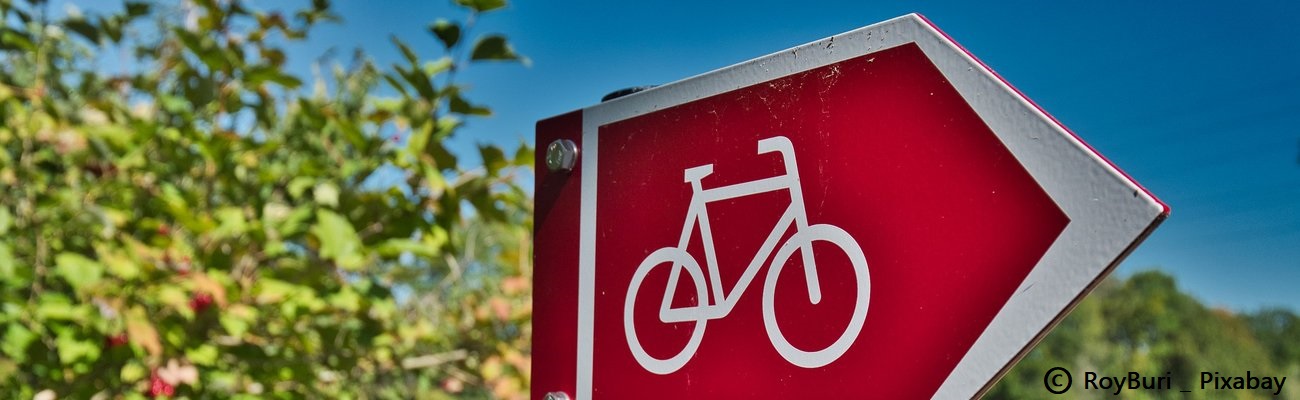 Loi vélo : quelles sont les idées inspirantes ailleurs dans le Monde ?