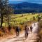Vélo gravel sur un chemin