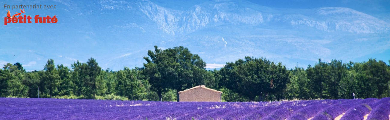 Balades à vélo en Provence