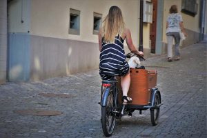 Vélo cargo pour chien