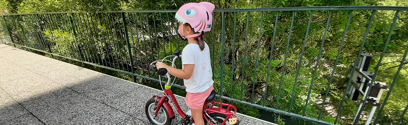 Casque De Vélo Pour Enfants, Requin Gris