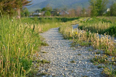 Chemin de gravier.