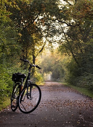 Vélo sur une véloroute