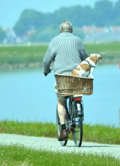 Vélo avec panier pour chien