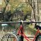 Utrecht première au classement de la ville la plus cyclable au monde