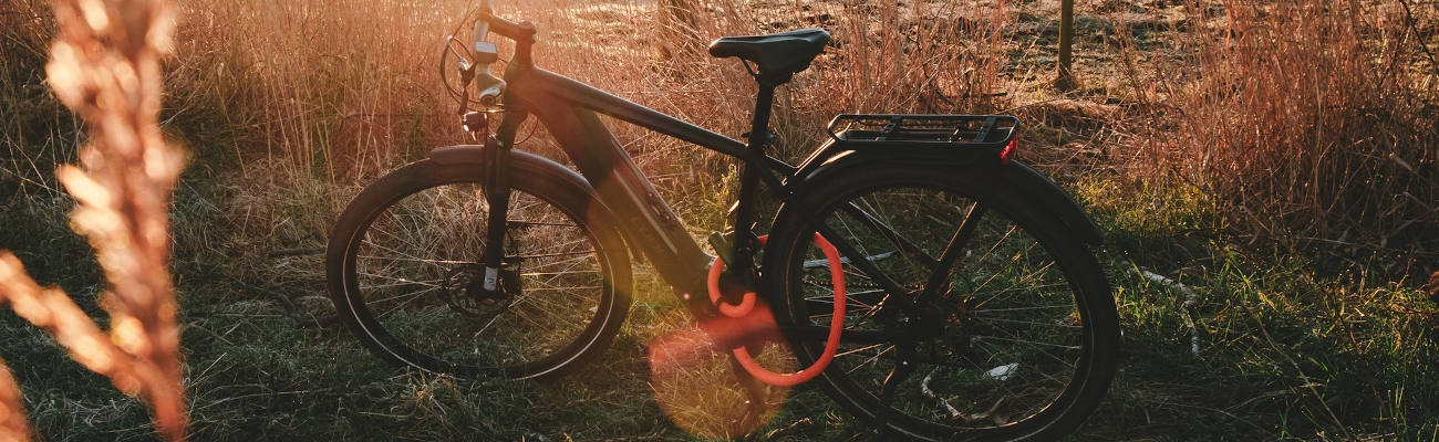 Antivol de selle et axe roue avant et arrière du velo