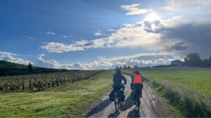 Un groupe de cyclotouristes pédalent sur une route entre les vignes au cours d'une randonnée à vélo sur la voie bleue.