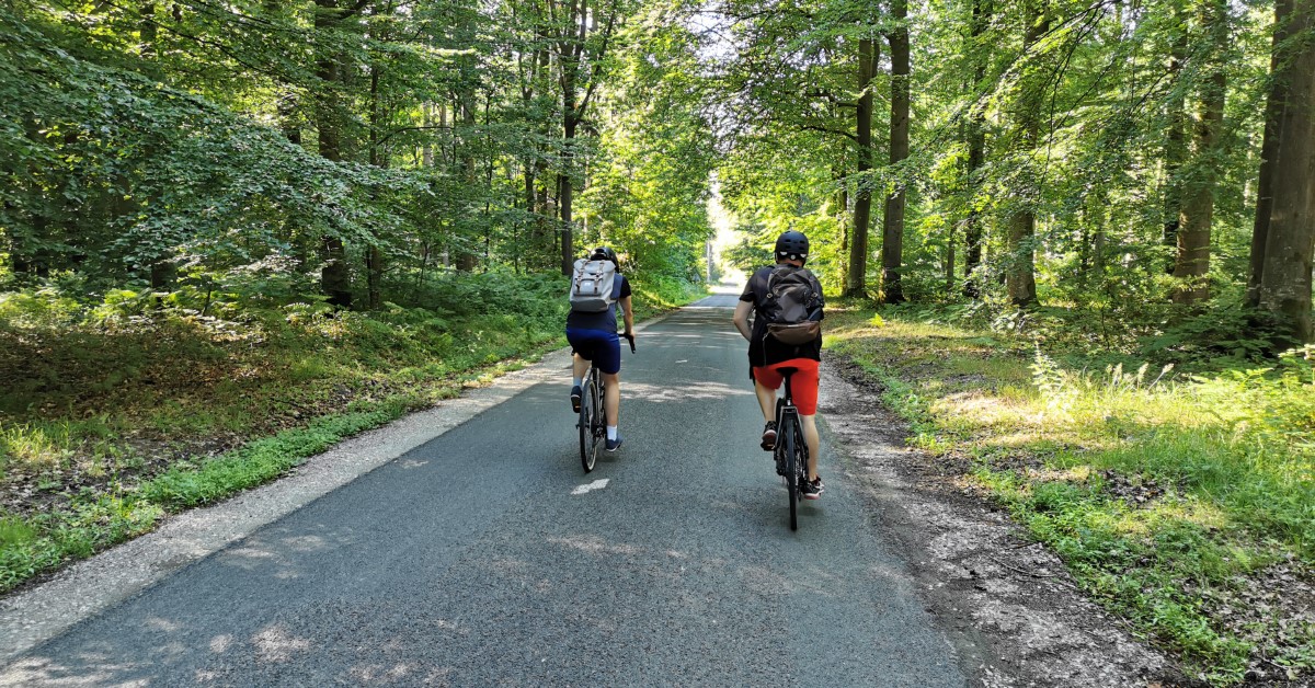 2 cyclistes en forêt au printemps