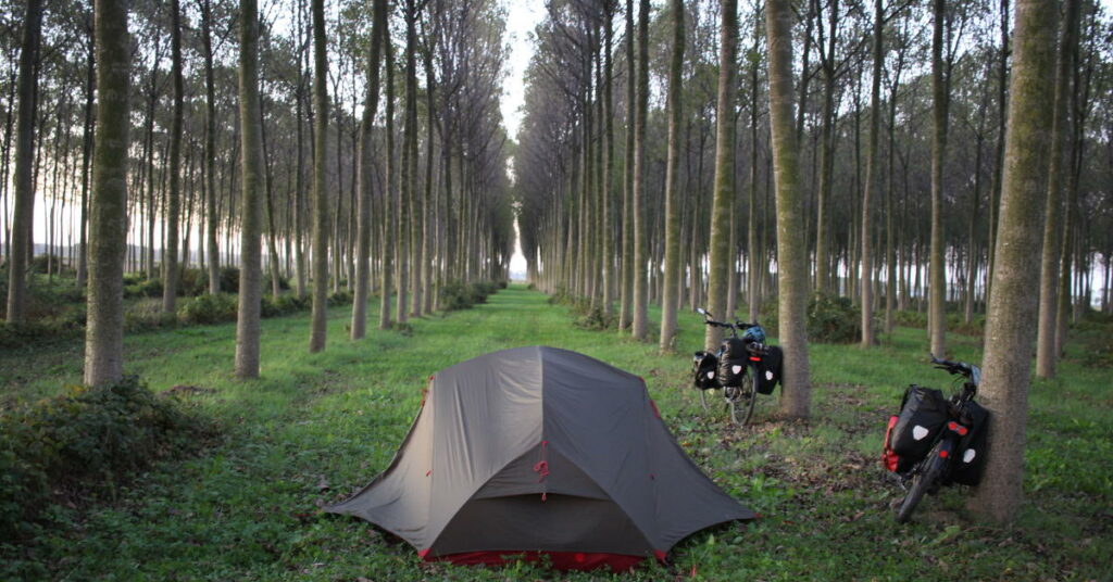 Une tente est placée dans une allée de pin, dans une forêt, un vélo est garé contre un arbre à côté. 