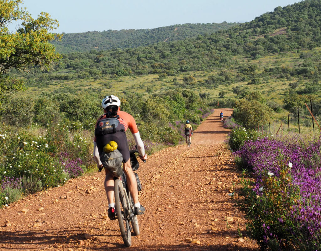 Deux cyclistes participants de la Desertus Bikus sont de dos sur un chemin en terre avec des vélo gravel . 