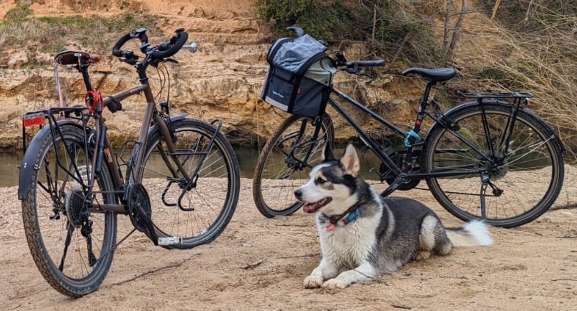 Deux vélos sont garés et un chien husky est couché à côté.