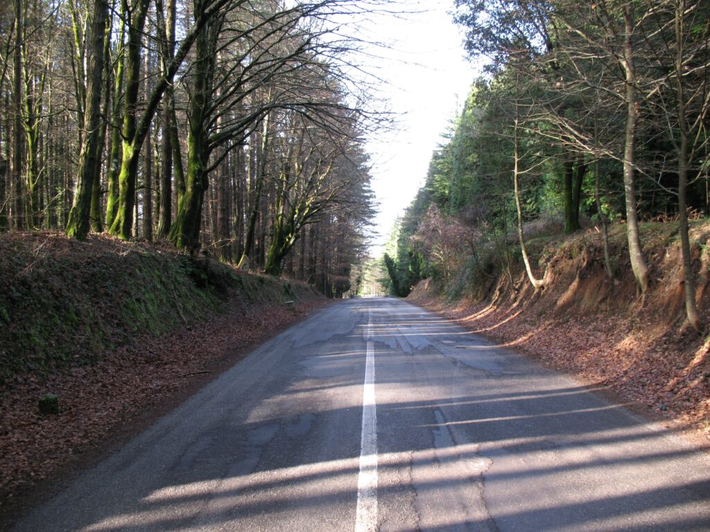 Piani di Zomaro