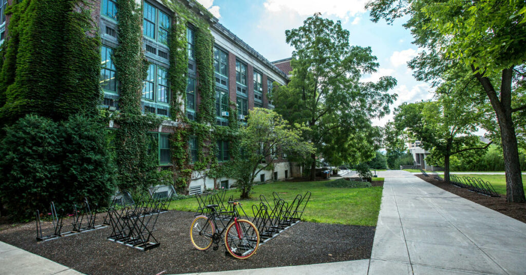 Vue d'un garage à vélo et d'un vélo gravel devant la façade d'un collège. 