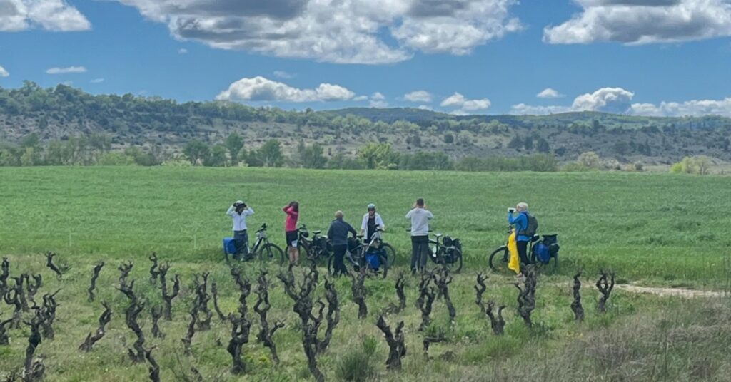 Un groupe de cyclotouristes est en pause déjeuner au milieu des vignes du Pic Saint-Loup