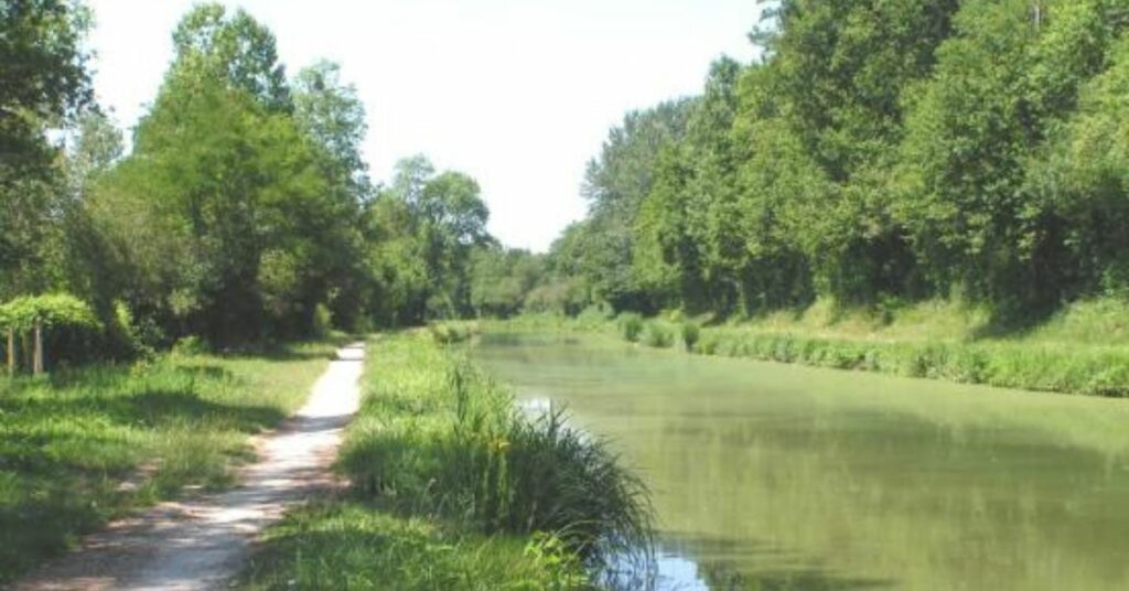 Un itinéraire vélo nature entre Orléans et Montargis
