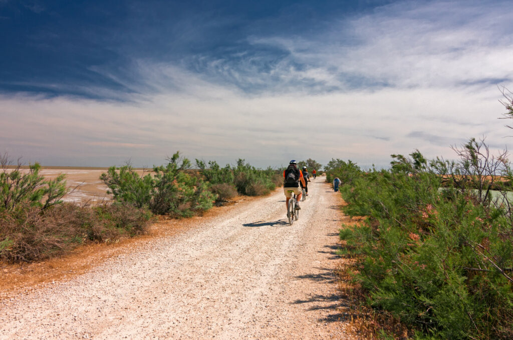 personnes à vélo de dos sur un sentier gravel en Camargue