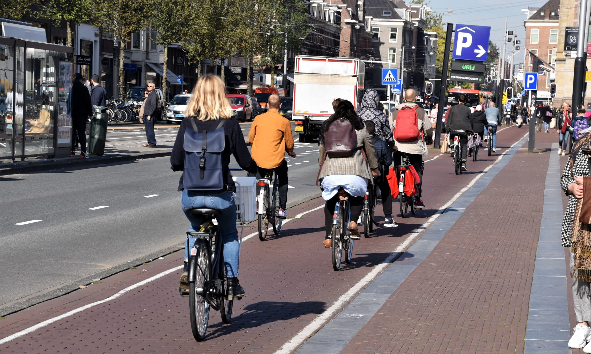 des cyclistes urbains de dos sur une piste cyclable à Amsterdam