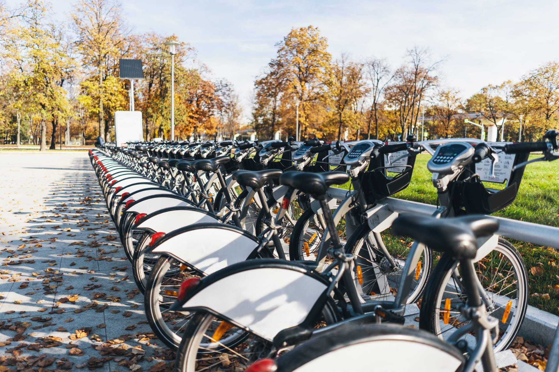 une rangée de vélos de location en ville